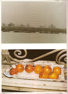 Venezia-5.thumb.jpg.233490490704e3bfe89f7ee0fba33ec4.jpg