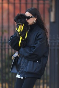 irina-shayk-out-with-her-dog-in-new-york-11-20-2023-2.jpg
