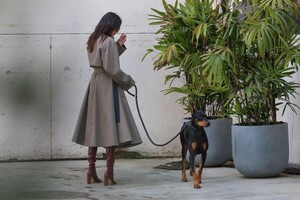 kendall-jenner-out-with-her-dog-in-beverly-hills-11-14-2023-1.jpg