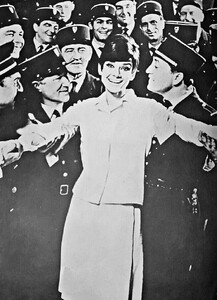 126.jpg