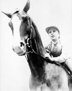 156.jpg