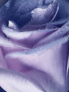 ElisabethErmbyCamillaAkrans(MorningDew-Dior5Spring2014)1.thumb.jpg.e219d6ed3c43f3077289bad0eb18c306.jpg