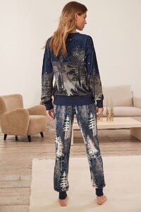 N40267s3.jpg