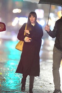 dakota-johnson-night-out-in-new-york-11-21-2023-2.jpg