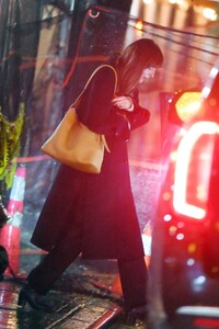 dakota-johnson-night-out-in-new-york-11-21-2023-4.jpg