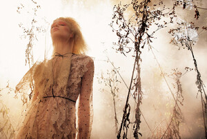 dreamy_06.thumb.jpg.fe79c16fb7800b51112f9db04b10addc.jpg