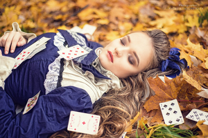 image.thumb.png.2f4bef337b5a05683b271033c54a3105.png