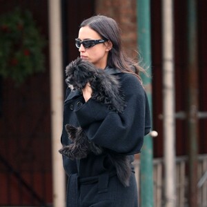 irina-shayk-out-with-her-dog-in-new-york-12-05-2023-2.jpg