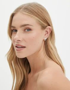juliet-plated-heart-earrings-silver-front-je165718ear.webp