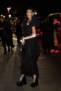 winnie-harlow-arrives-at-2023-cfda-fashion-awards-in-new-york-11-06-2023-1.jpg