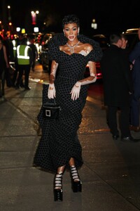 winnie-harlow-arrives-at-2023-cfda-fashion-awards-in-new-york-11-06-2023-6.jpg