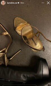 IMG_2499.jpeg