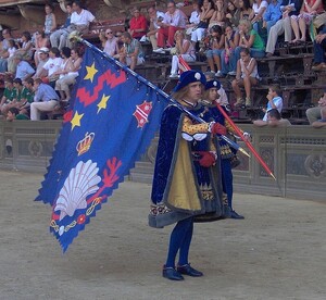 Nicchio_flag _August_2006_-_crop.jpg