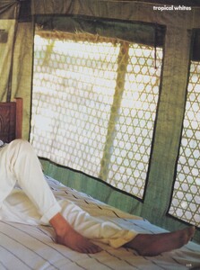 Tropical_Whites_08.thumb.jpg.45ee36f598b688f6d7de871862347898.jpg