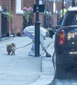 lady-victoria-hervey-out-with-her-dog-in-chelsea-08-07-2023-1.jpg