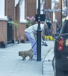 lady-victoria-hervey-out-with-her-dog-in-chelsea-08-07-2023-2.jpg