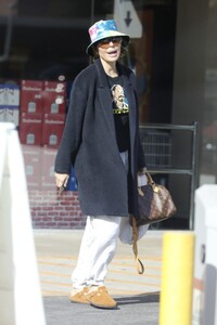 lisa-rinna-out-and-about-in-beverly-hills-12-11-2023-1.jpg
