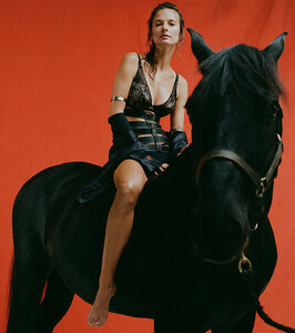 push-up-horse.thumb.jpg.8d3f063e3f70f5d1ff64f2663a71d443.jpg