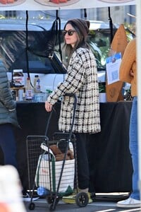 rachel-bilson-at-the-farmer-s-market-01-14-2024-0.jpg