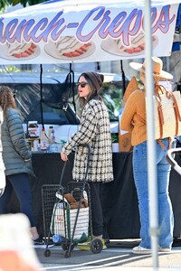 rachel-bilson-at-the-farmer-s-market-01-14-2024-3.jpg