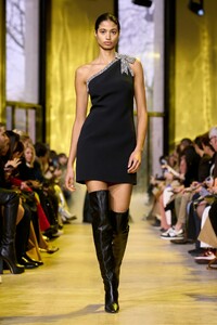 00051-elie-saab-fall-2023-ready-to-wear-credit-gorunway.thumb.jpg.d5a6cb94dbdb4a96fe738be559249c41.jpg