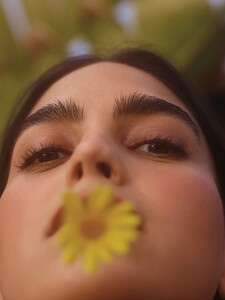 015.jpg