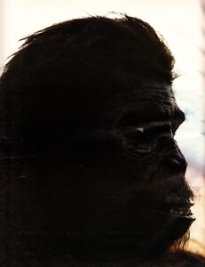 2001_07.thumb.jpg.d3aa8a8e0ea1fec41ec73b78daa13620.jpg