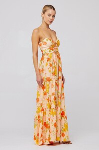 gabi-maxi-in-ginger-377166.jpg