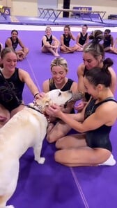 [2024.04.02] lsugym_10000000_1167341011096956_3637142889241293196_n2.jpg