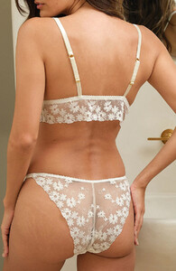 Daisy-Brief-Fleur-of-England-37015369.jpg