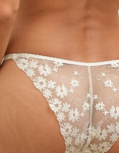 FleurofEngland_Daisy_Brief_detail_1.jpg