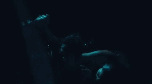 dania-neto-nua-gif (1).gif