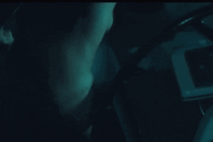dania-neto-nua-gif (2).gif