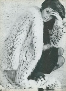 furs_03.thumb.jpg.0c1cda7f521d6e1262f5854f4b2a6137.jpg