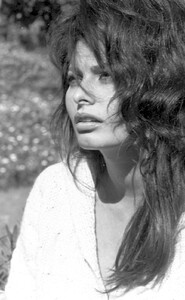 96.jpg