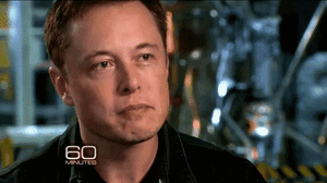 HeavenlyUnfortunateIaerismetalmark-size_restricted.thumb.gif.baf157e8024405bf156d0f1b766cdbd3.gif