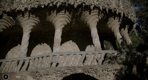IMG_3563.jpeg