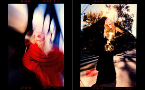 NB_Portfolio_392.jpg