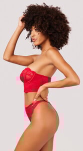 YO_40-11663_LACE_MESH_STRAPLESS_BRA_SET_RED-2887.jpg