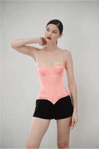 corset-rose-organza-cleves-cadolle.thumb.jpg.8864acb58462c02abdbe5287df614087.jpg