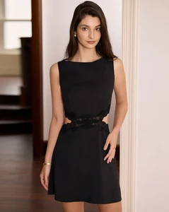 the-black-boat-neck-lace-mini-dress-dresses-bpyv0d_650x.webp