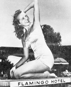 105.jpg