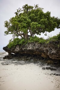 2023-11-JcSophieV1-Zanzibar_21_3485.jpg