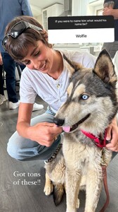 [2024.06.02] taylor_hill_3381955105225252342.jpg