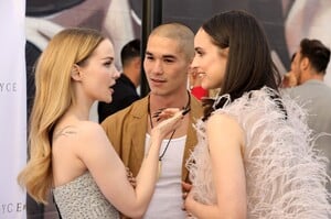 474297425_dove-23.jpg