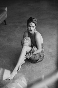 478135387_palvin_11.jpg