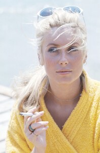 97.jpg