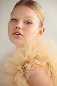 Daphne-3.jpg