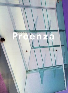 Sims_Proenza_Schouler_Spring_Summer_2015_03.thumb.jpeg.0ae54d78fd82187adc966d4ce42cf2d1.jpeg