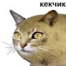 Boris_777